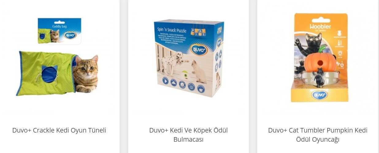 Kedilerde gece görüşü ve avlanma içgüdüsü